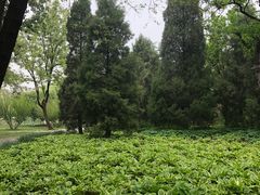 -泰丰公园