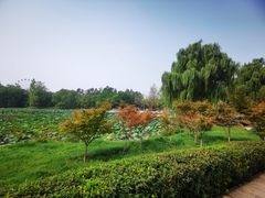 -西安浐灞国家湿地公园