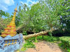 -瑞丽独树成林风景区