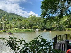 -呀诺达热带雨林