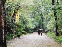 -灵谷景区