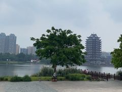 -眉山湿地公园(东坡区)