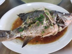 -明记海鲜大排档(巽寮湾店)