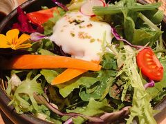 -Hatsune隐泉日式料理(三里屯太古里店)