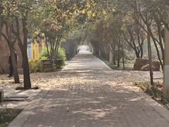 -洛阳市隋唐城遗址植物园