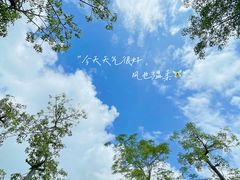 -芒洲湿地公园