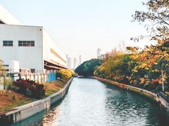 -长洲岛