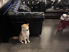 -瞳·实景密室逃脱(护国店)
