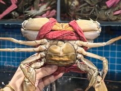 -辣螃铠盆盆蟹大排档(总店)