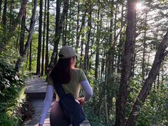 -白草畔自然风景区