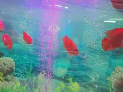 -雅悦齿科(顾村公园店)
