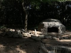 -上海野生动物园