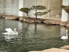 -罗红摄影艺术馆