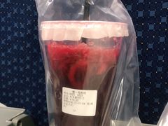 -DOU.MSTR雙·馬斯特