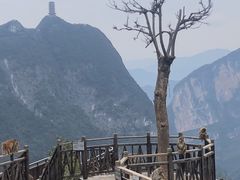 -重庆云阳龙缸景区