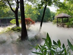 -上海滨江森林公园
