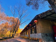 -香炉山国家森林公园