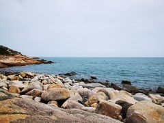 -广东惠东海龟国家级自然保护区