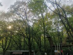 -WeLope紫金山探险公园