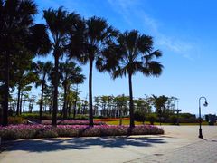 -芒洲湿地公园