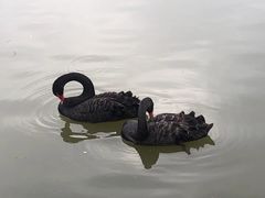 -上海野生动物园