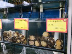 -蚝专家(北滘店)