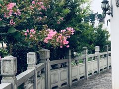 -浦江麦饼
