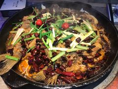 -老板恋上鱼(恒隆广场店)