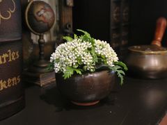 -信不信由你博物馆