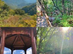 -大岭沟猕猴桃谷风景区