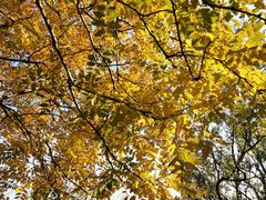 -香山公园-东宫门售票处