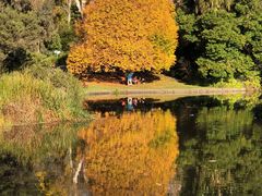 -墨尔本皇家植物园