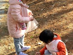 -苏州河梦清园环保主题公园