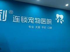 -贝利宠物医院·骨科·眼科·肿瘤转诊中心(南坪诊疗中心)