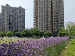 -杭州城北体育公园