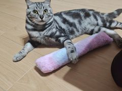 -贝来恩24H动物医院·转诊中心(稻香路店)