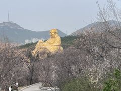-千佛山风景名胜区-历山院