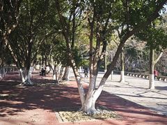 -峙山公园