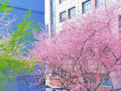 -吉林大学(南岭校区)
