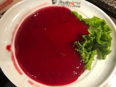 鲜鸭血-晓宇重庆火锅(赛格国际购物中心店)
