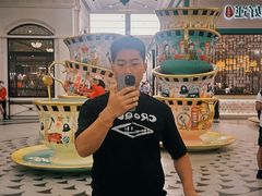 -澳门威尼斯人综合度假区