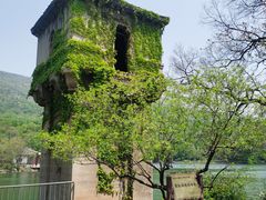 -紫霞湖公园