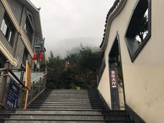 -老幺泉水鸡