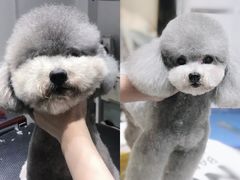 -Oh My Dog宠物沙龙(伊珊娜皮毛护理店)