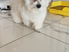 -纳吉亚猫专科动物医院·北北分院