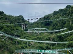 -长沙黑麋峰国家森林公园