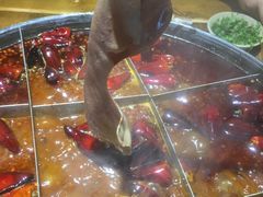-白乐天毛肚火锅馆(南滨路店)