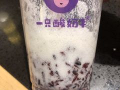 -一只酸奶牛(八一路店)