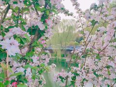-海棠花溪(元大都城垣遗址公园)