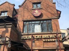 -Boxing Cat Brewery拳击猫精酿啤酒馆(永福店)